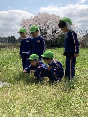 太陽組だより